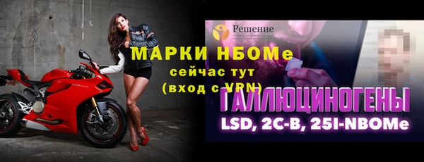 PSILOCYBIN Ельня