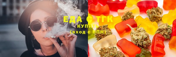 PSILOCYBIN Ельня