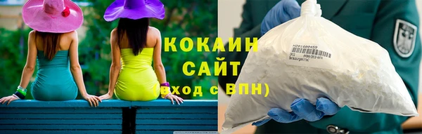 PSILOCYBIN Ельня