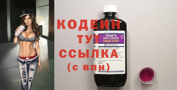 PSILOCYBIN Ельня