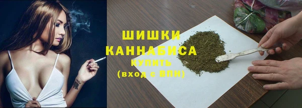 МДПВ Елизово
