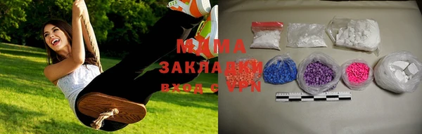 PSILOCYBIN Ельня