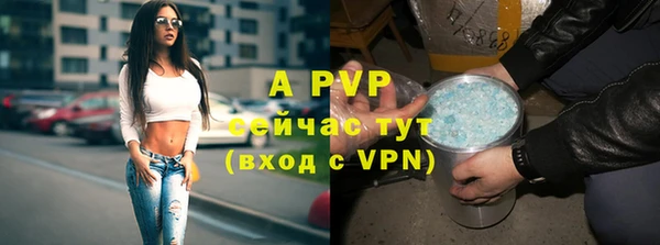 дживик Елабуга