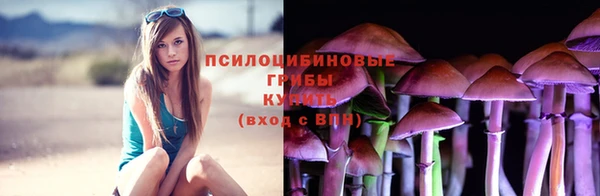 МДПВ Елизово