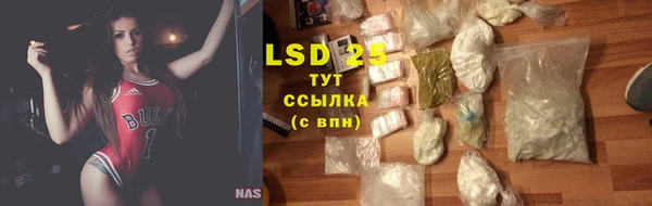 дживик Елабуга