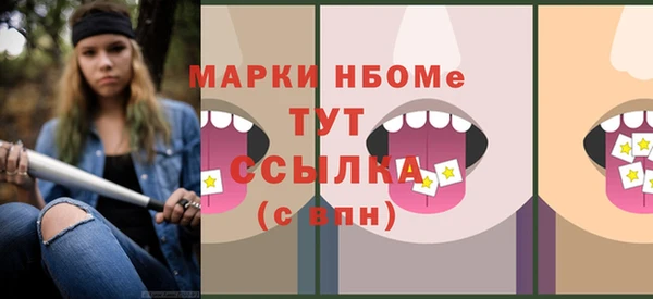 PSILOCYBIN Ельня