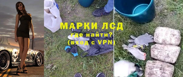 PSILOCYBIN Ельня