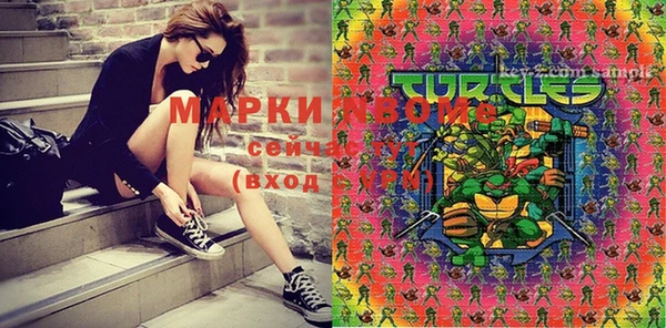 PSILOCYBIN Ельня