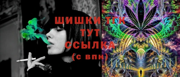 PSILOCYBIN Ельня