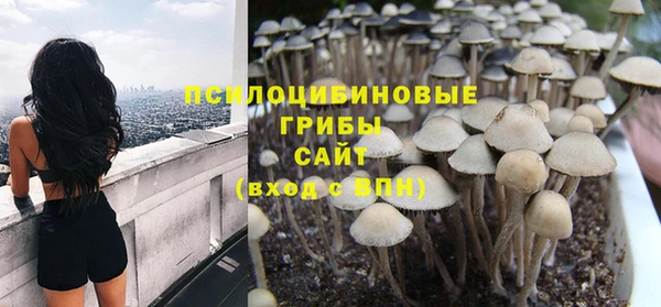 МДПВ Елизово