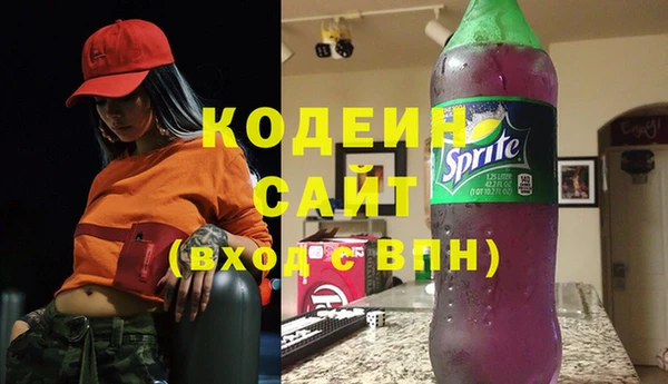 PSILOCYBIN Ельня