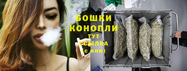 PSILOCYBIN Ельня