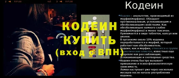 МДПВ Елизово