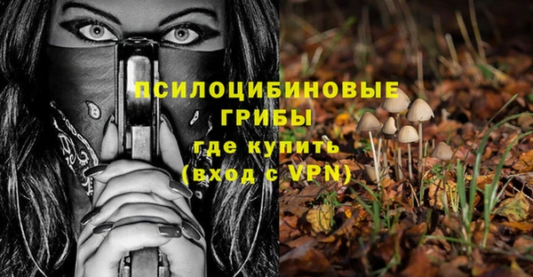 дживик Елабуга