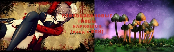 МДПВ Елизово